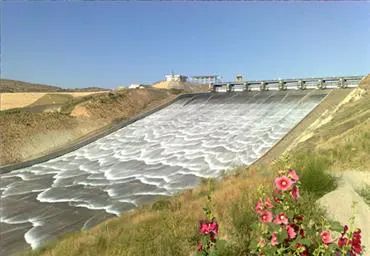 سد مشترک دوستی (مرز ایران و ترکمنستان)